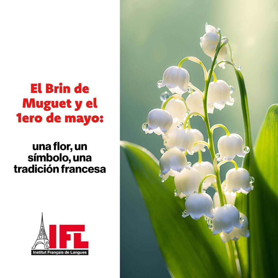 El Brin de Muguet y el 1ero de mayo: una flor, un símbolo, una historia francesa